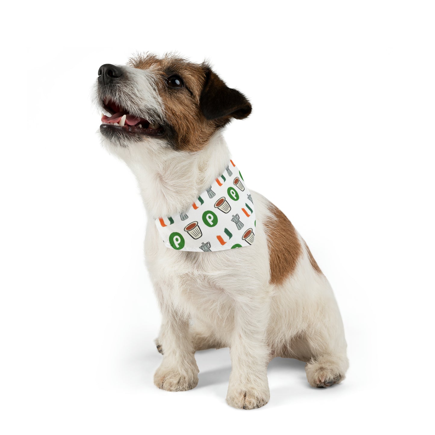 Miami Florida Pet Bandana