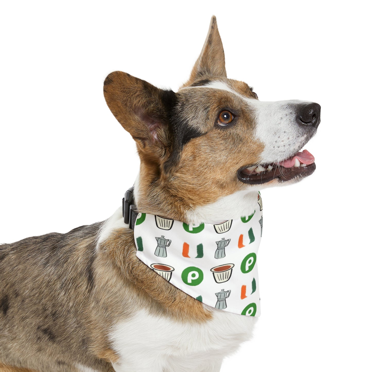 Miami Florida Pet Bandana