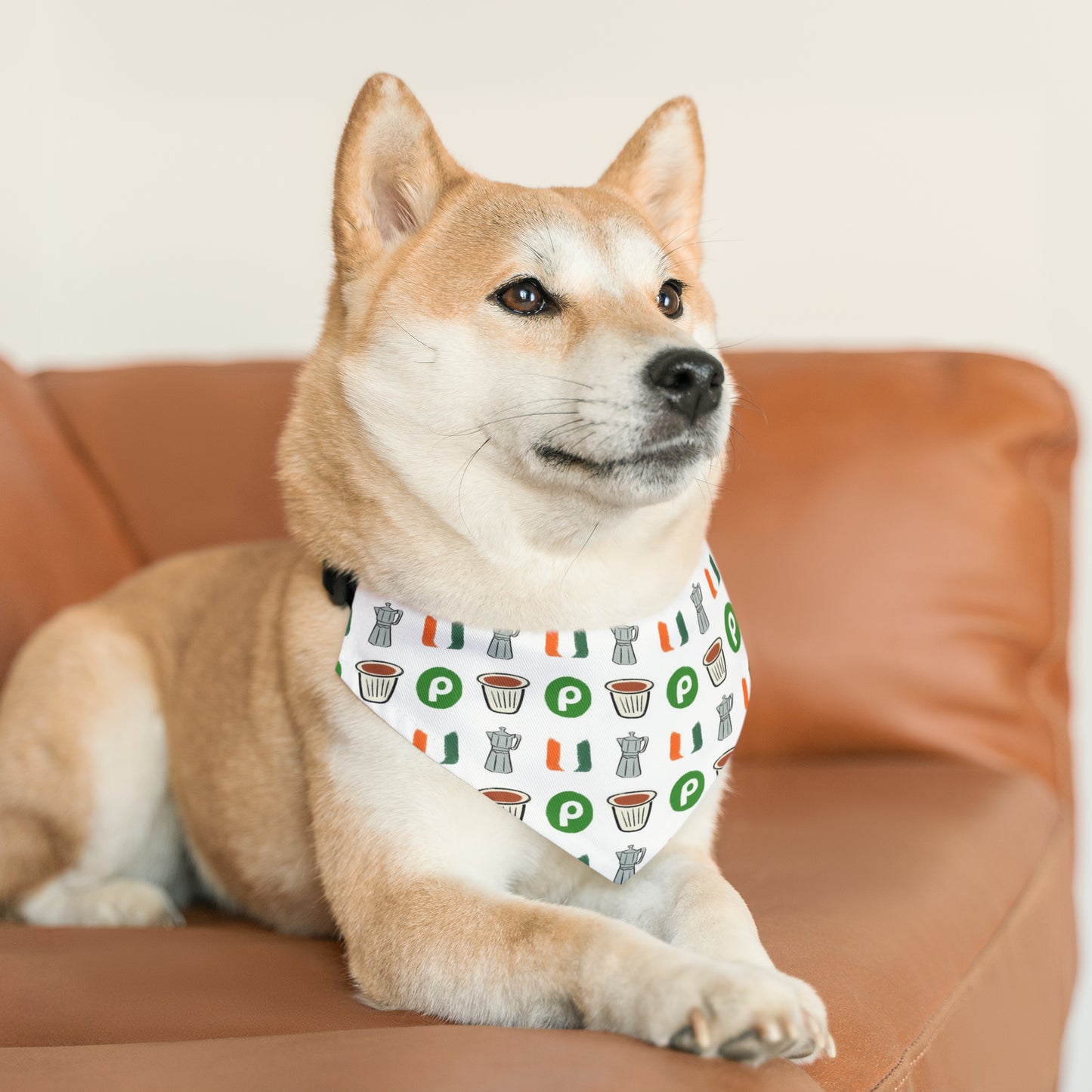 Miami Florida Pet Bandana