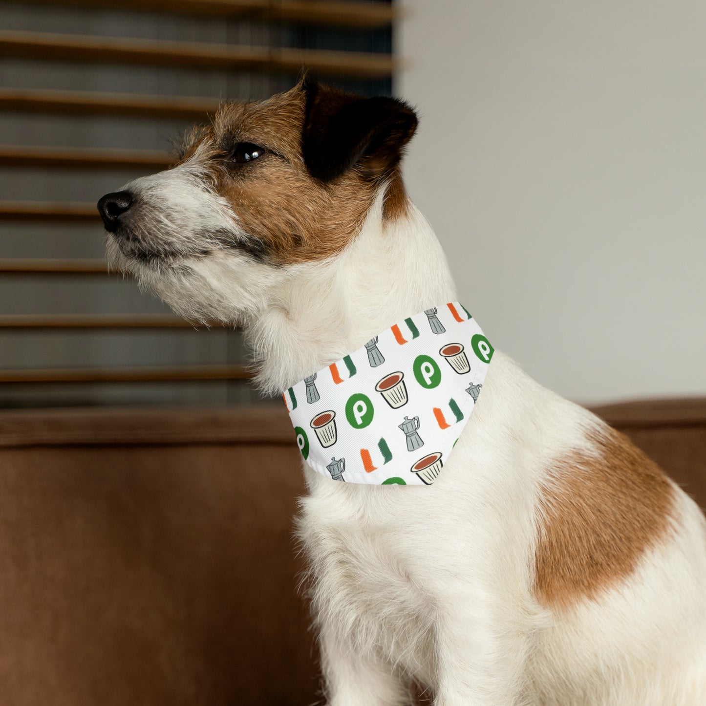 Miami Florida Pet Bandana