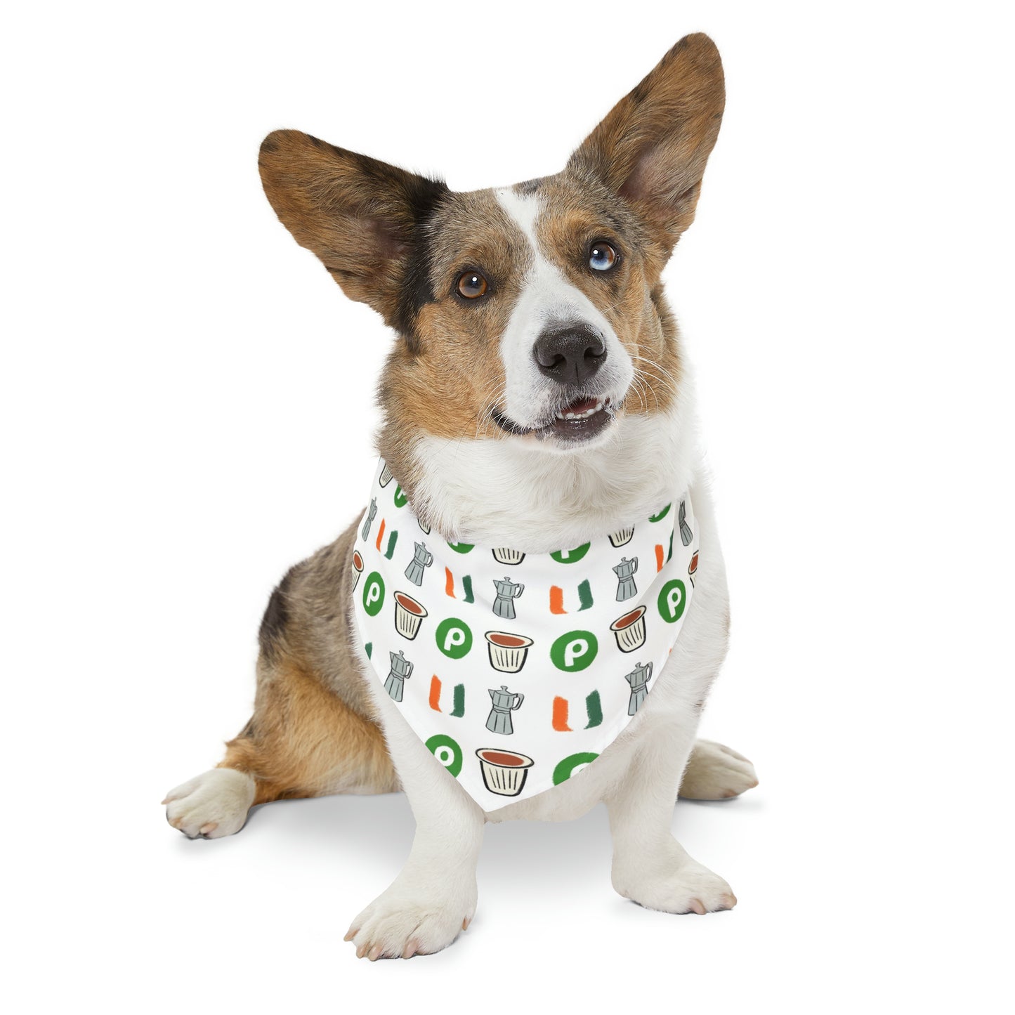 Miami Florida Pet Bandana