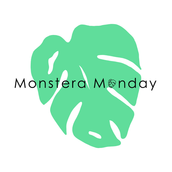 Monstera Monday Shop