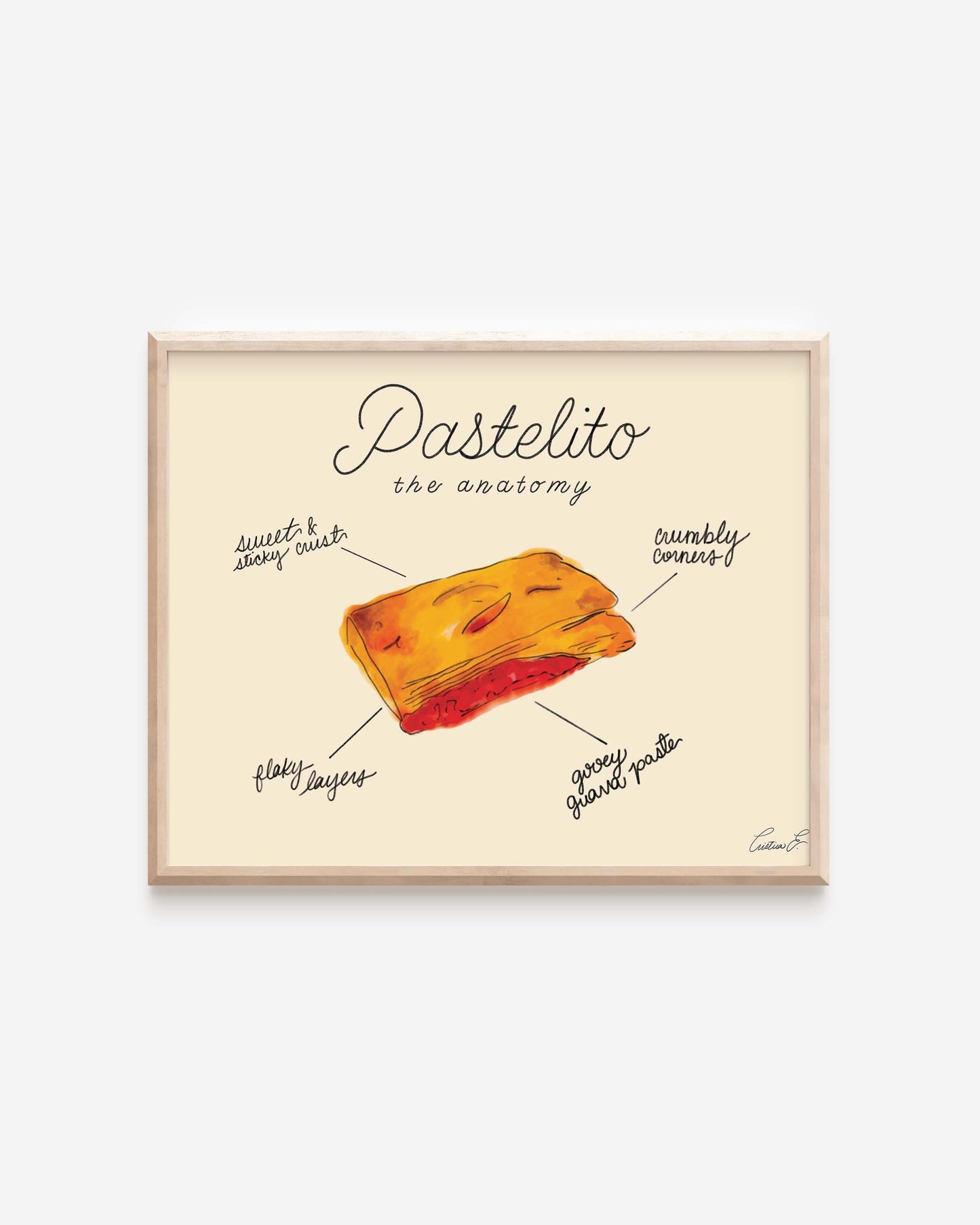 The Anatomy of a Pastelito Art Print | Digital Download